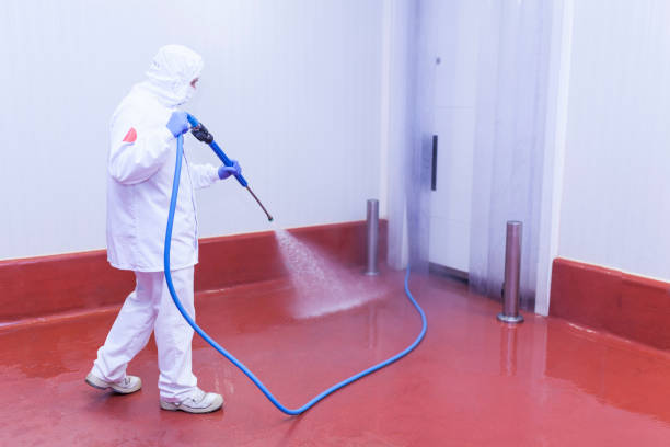 Best Pre-Holiday Cleaning  in Killen, AL